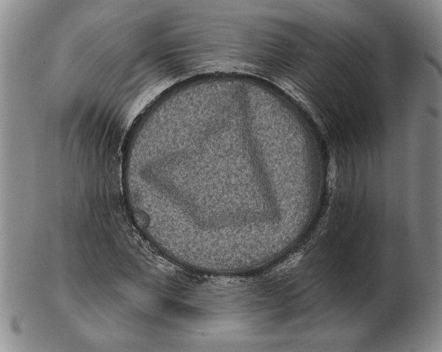 X0000102350877200808221651