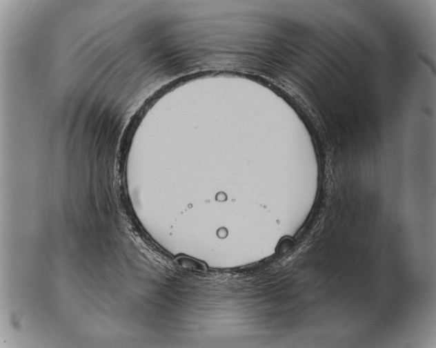 X0000102350880200808221651