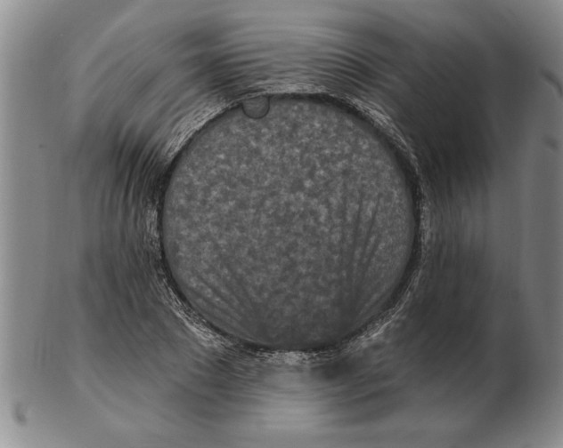 X0000102350881200808221651