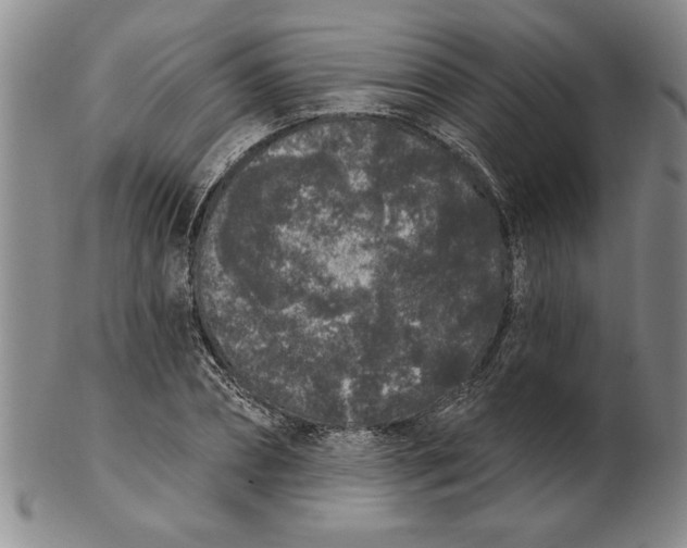 X0000102350882200808221651