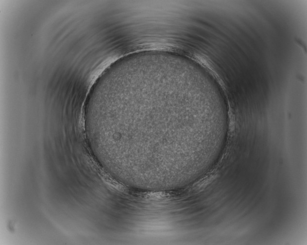 X0000102350883200808221651