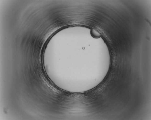 X0000102350884200808221651