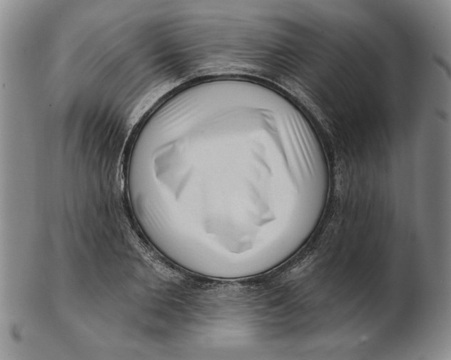 X0000102350885200808221651