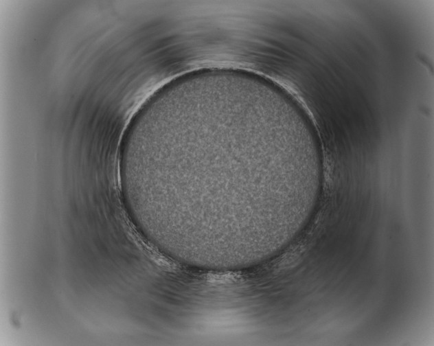 X0000102350887200808221651