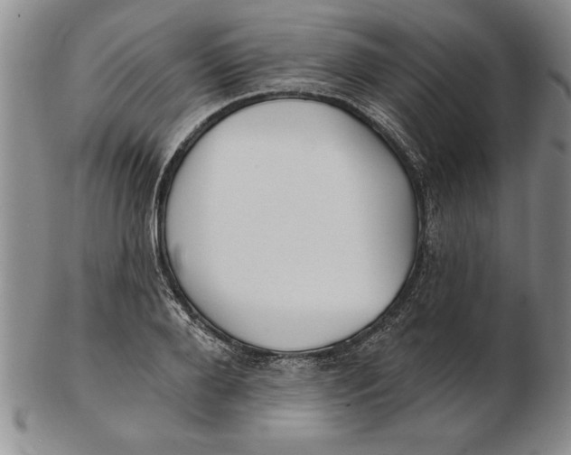 X0000102350888200808221651