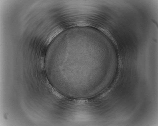 X0000102350889200808221651