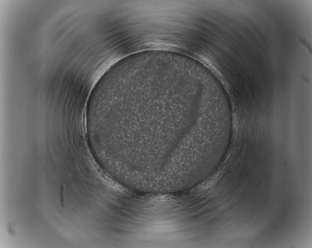 X0000102350891200808221651