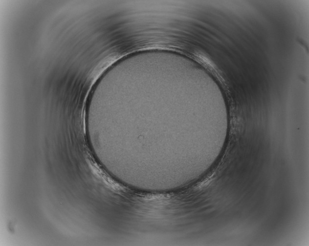 X0000102350892200808221651