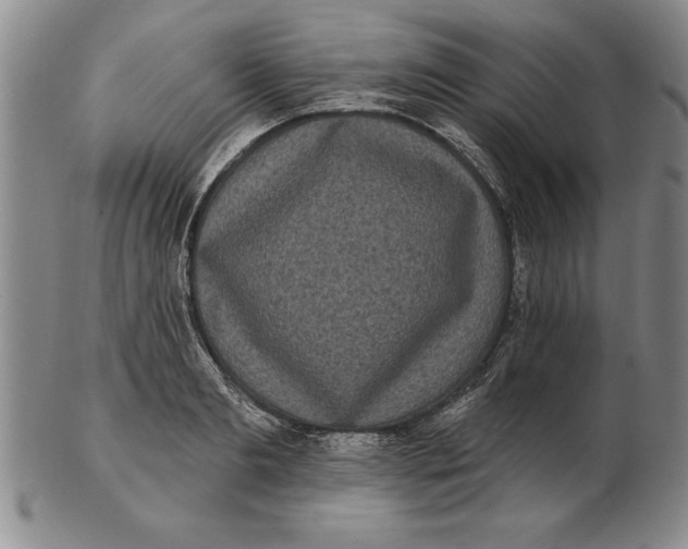 X0000102350893200808221651