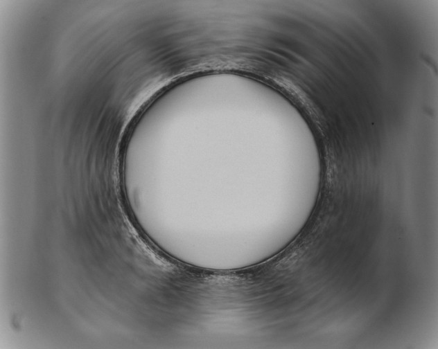 X0000102350894200808221651