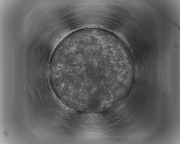 X0000102350895200808221651