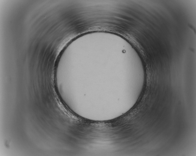 X0000102350896200808221651