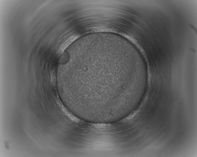 X0000102350897200808221651