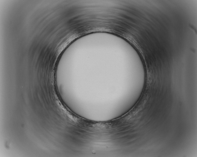 X0000102350898200808221651