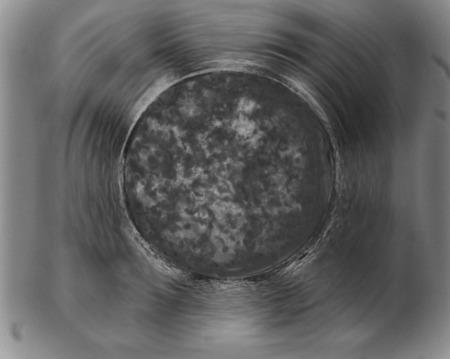 X0000102350899200808221651