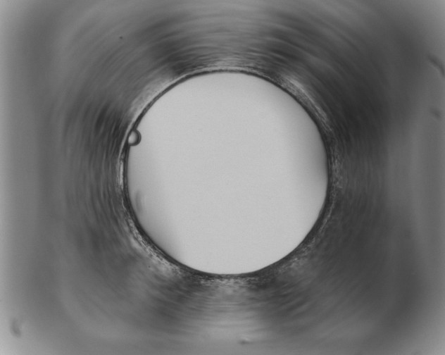 X0000102350900200808221651