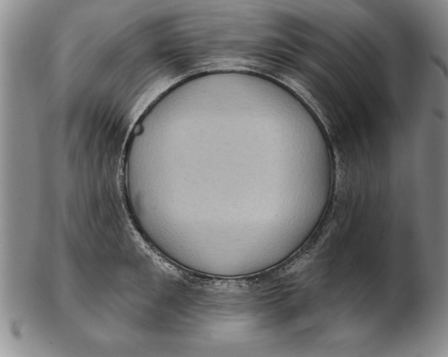 X0000102350901200808221651