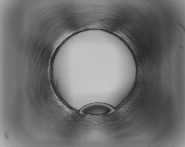 X0000102350902200808221651