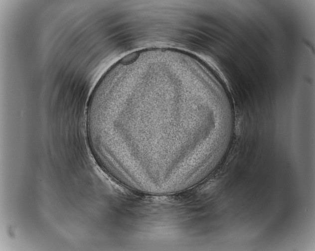 X0000102350903200808221651