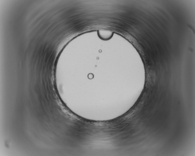 X0000102350904200808221651