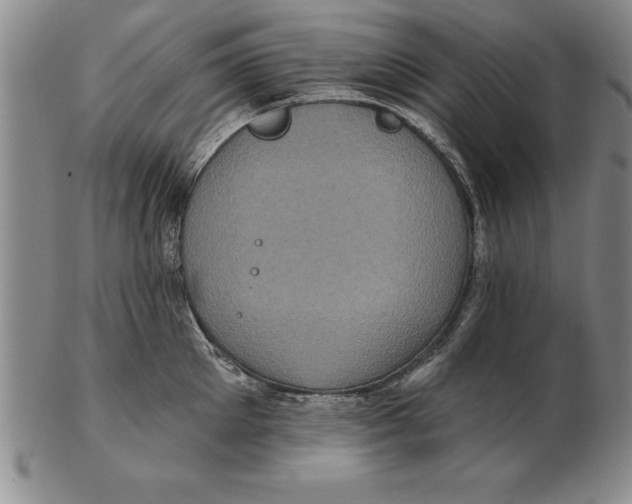 X0000102350905200808221651