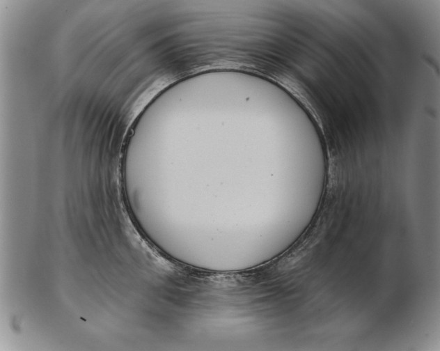 X0000102350906200808221651