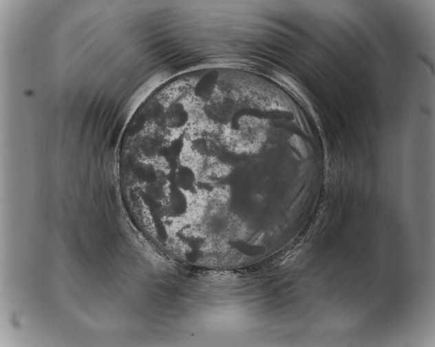 X0000102350907200808221651