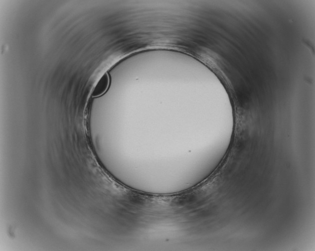 X0000102350908200808221651