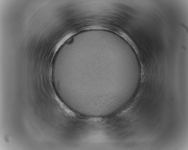 X0000102350909200808221651