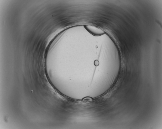 X0000102350910200808221651