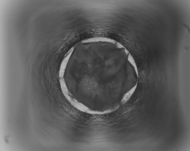 X0000102350913200808221650