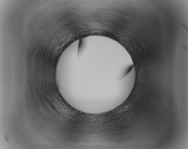 X0000102350916200808221650