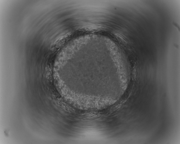 X0000102350917200808221650