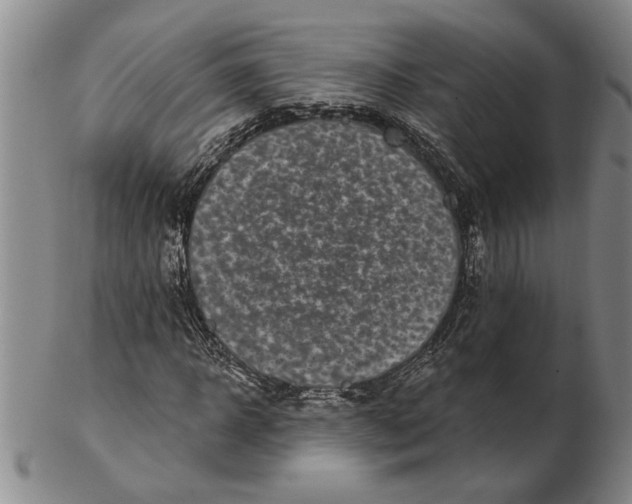 X0000102350918200808221650