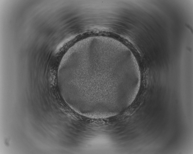 X0000102350919200808221650