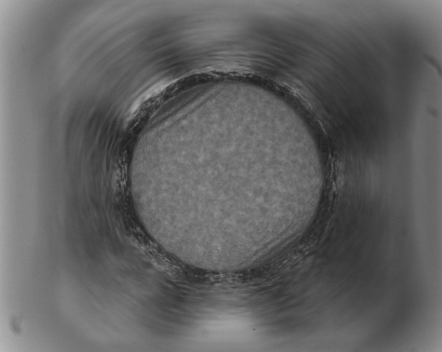 X0000102350920200808221650