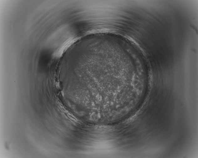 X0000102350921200808221650