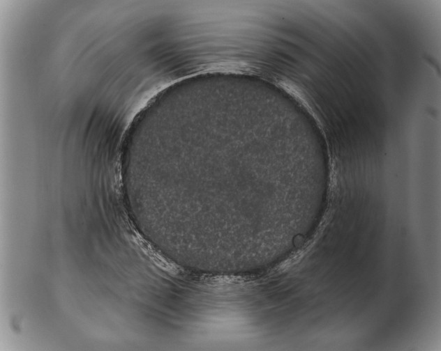 X0000102350923200808221650