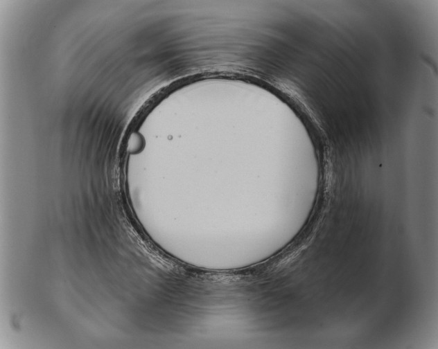 X0000102350924200808221650