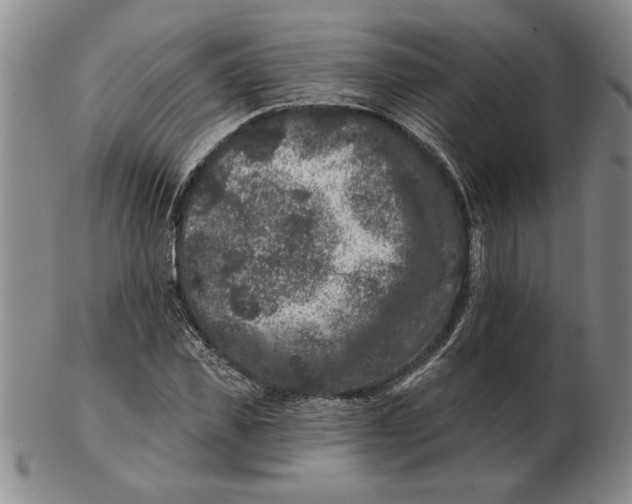 X0000102350925200808221650