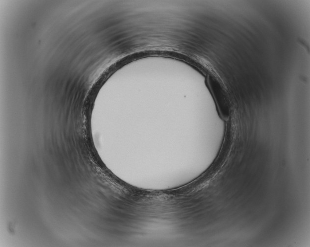 X0000102350926200808221650