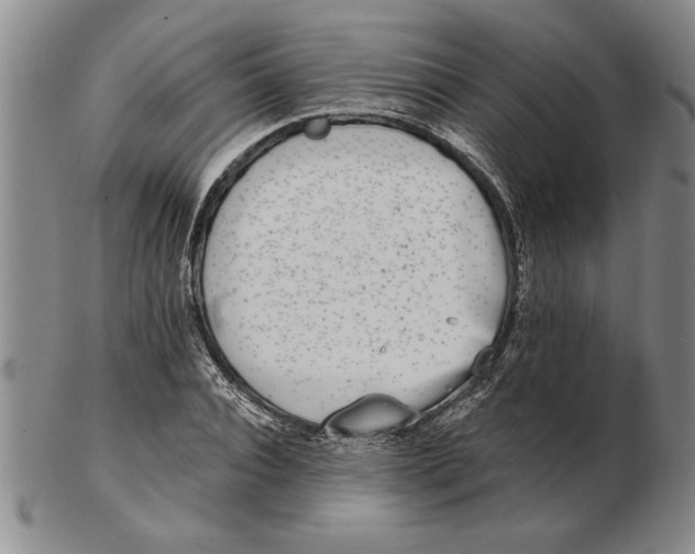 X0000102350928200808221650