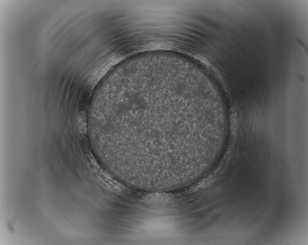 X0000102350929200808221650