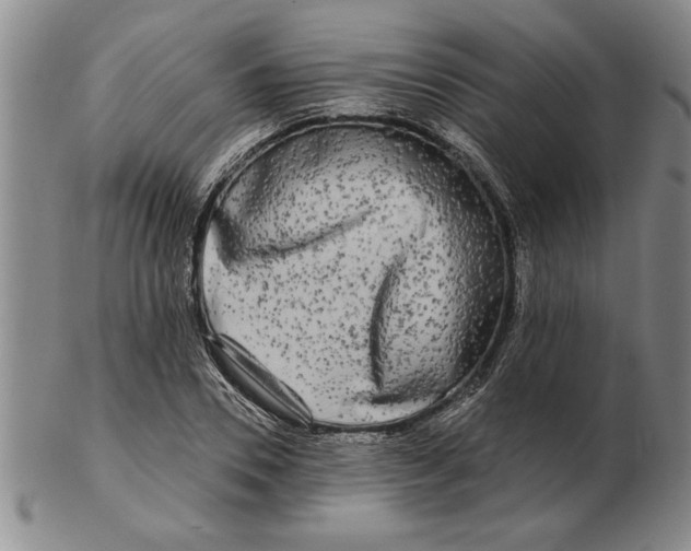 X0000102350930200808221650