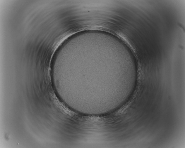 X0000102350932200808221650