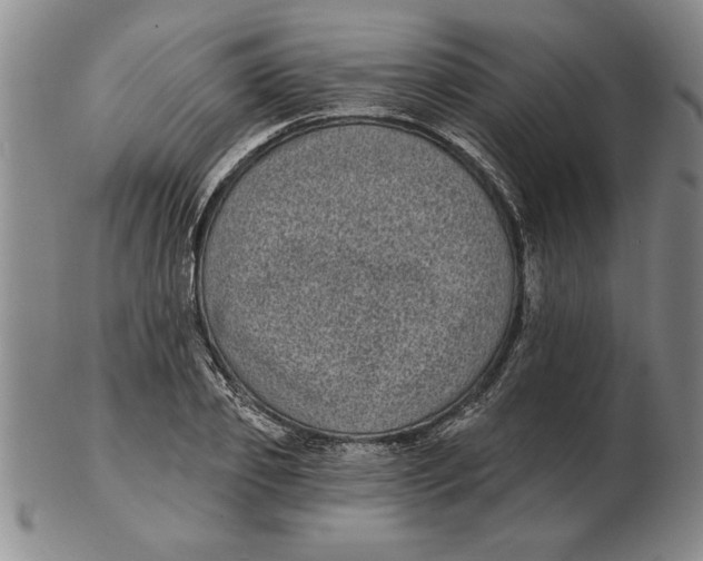 X0000102350933200808221650