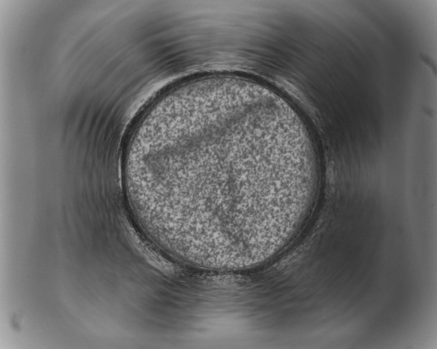 X0000102350934200808221650