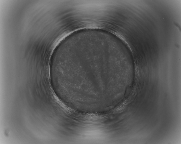 X0000102350935200808221650