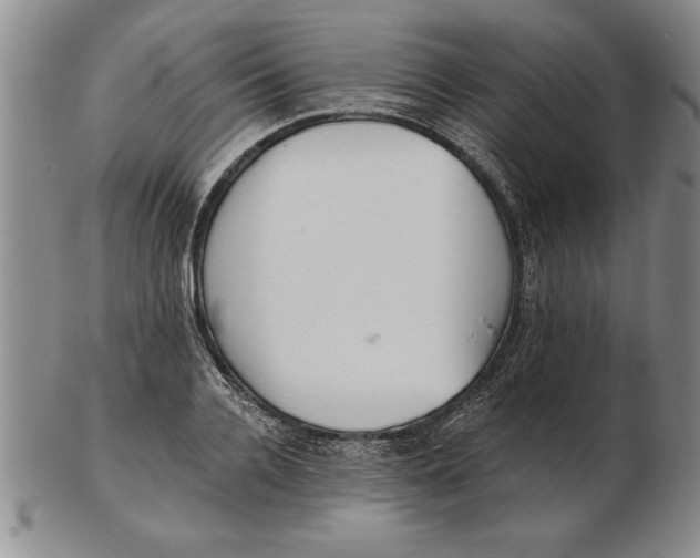 X0000102350936200808221650