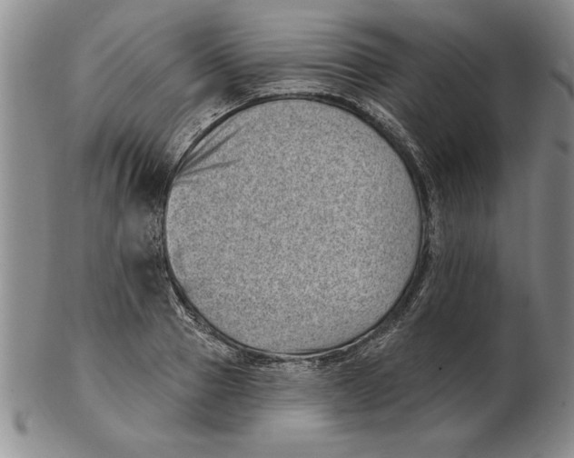 X0000102350937200808221650